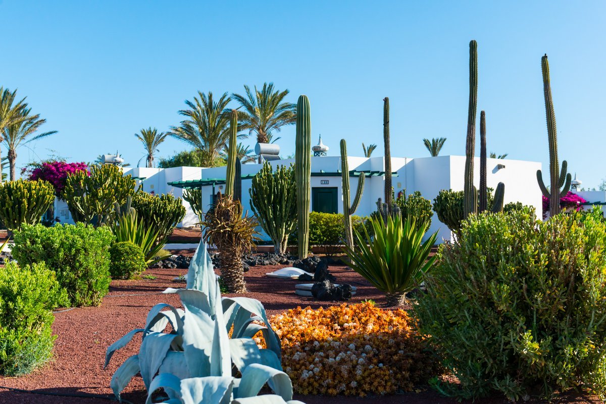 Hotel HL Club Playa Blanca**** - Lanzarote - 